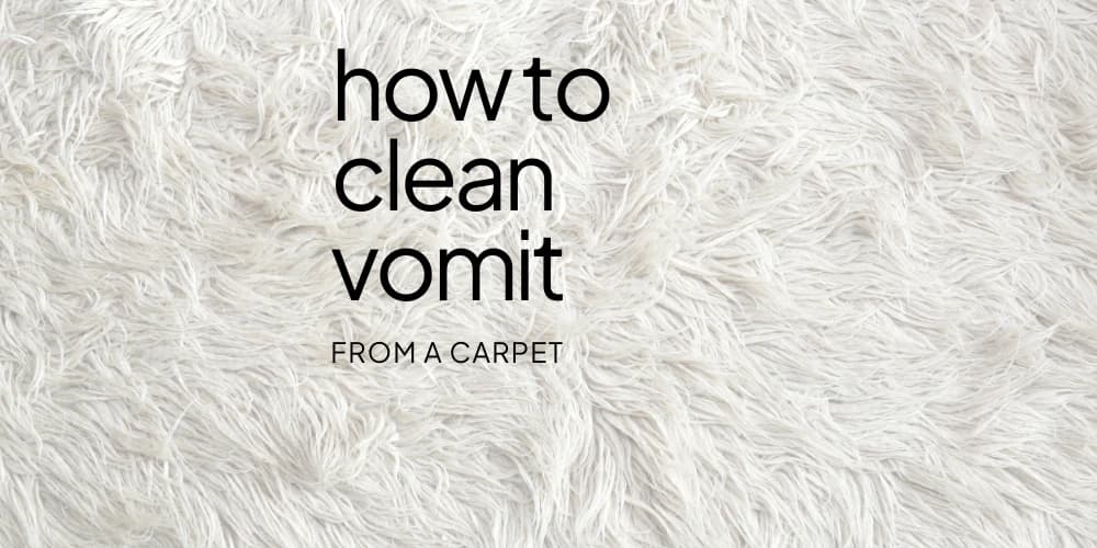 How-to-Clean-Vomit-From-Carpet.webp