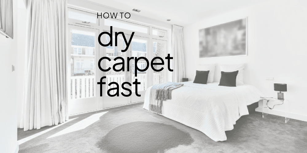how-to-dry-carpet-fast.png