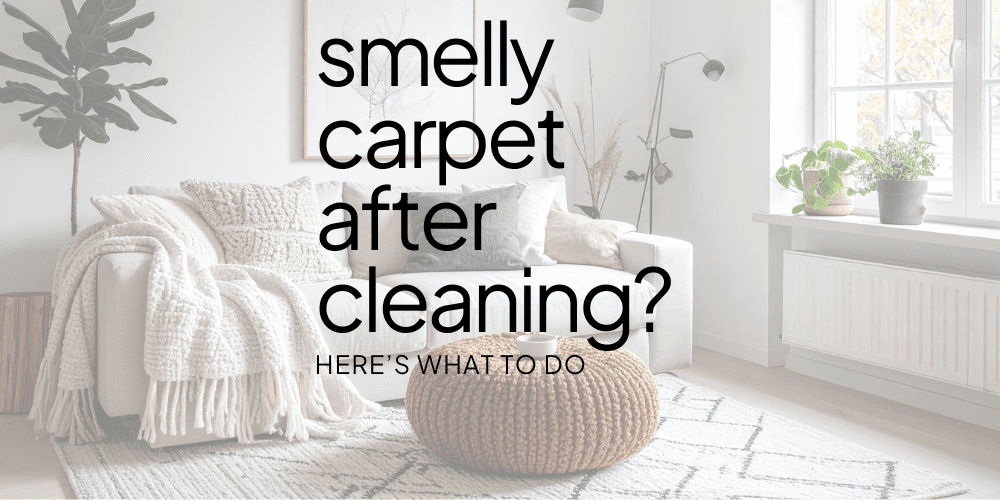 smelly-carpet-after-cleaning.png