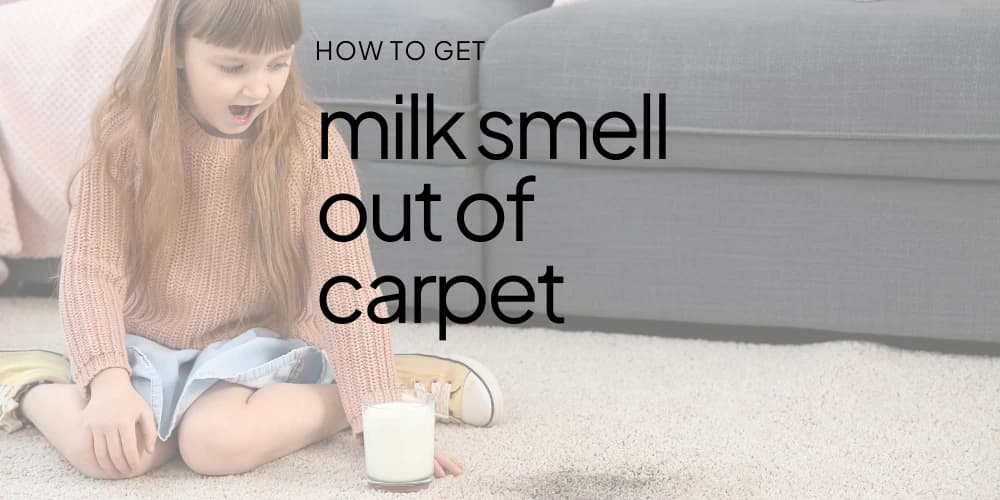 How-to-Get-Milk-Smell-Out-of-Carpet-1.webp