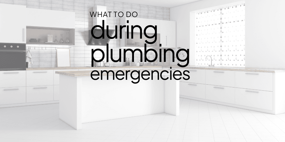 What-to-Do-in-a-Plumbing-Emergency.png
